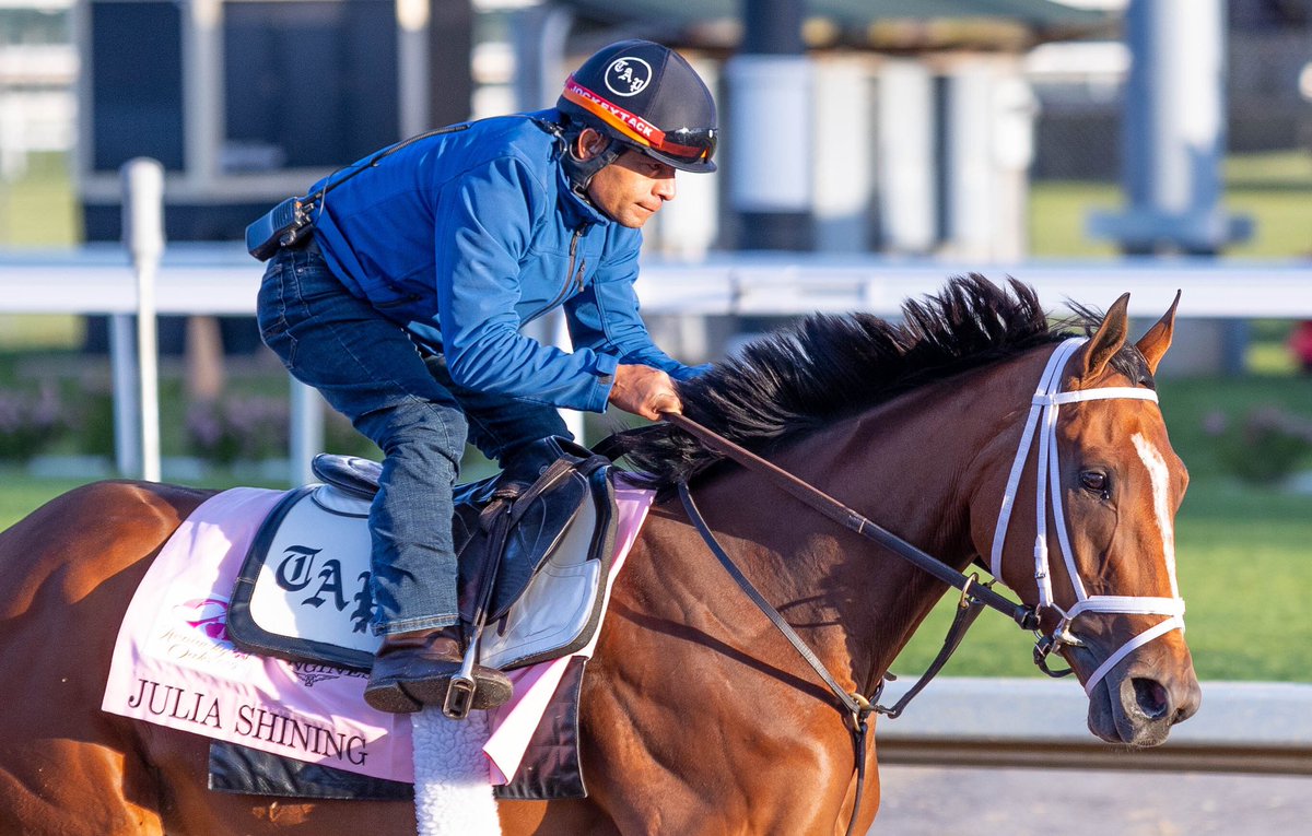 BH_CMcCroskey's tweet photo. Quieter morning today @ChurchillDowns with Bill Mott trainee & @KentuckyDerby contender #RocketCan putting in the sole work during the 7:30 a.m. session 🌹 #kentuckyoaks contenders #GamblingGirl and #Southlawn galloped along with Oaks hopeful #JuliaShining 🌷 https://t.co/eLVoLp4r5g