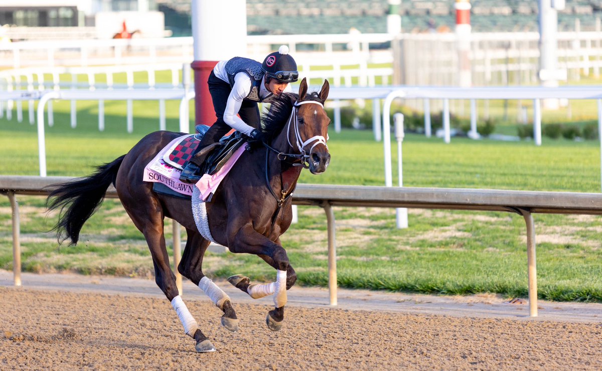 BH_CMcCroskey's tweet photo. Quieter morning today @ChurchillDowns with Bill Mott trainee & @KentuckyDerby contender #RocketCan putting in the sole work during the 7:30 a.m. session 🌹 #kentuckyoaks contenders #GamblingGirl and #Southlawn galloped along with Oaks hopeful #JuliaShining 🌷 https://t.co/eLVoLp4r5g