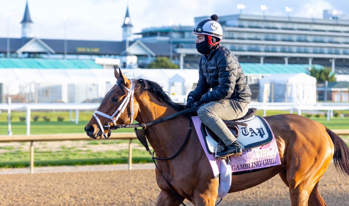 BH_CMcCroskey's tweet photo. Quieter morning today @ChurchillDowns with Bill Mott trainee & @KentuckyDerby contender #RocketCan putting in the sole work during the 7:30 a.m. session 🌹 #kentuckyoaks contenders #GamblingGirl and #Southlawn galloped along with Oaks hopeful #JuliaShining 🌷 https://t.co/eLVoLp4r5g