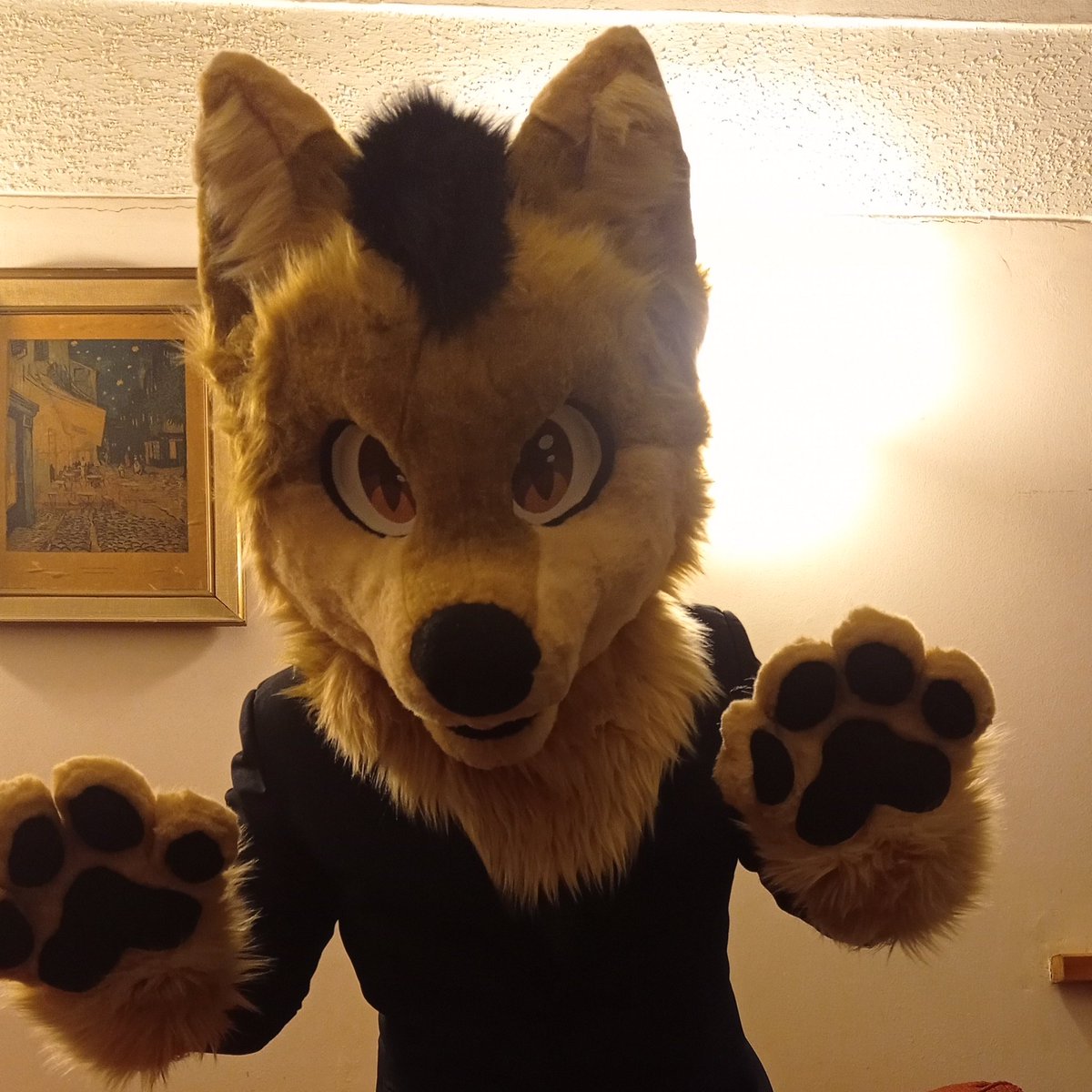 Djthewolfe tweet picture