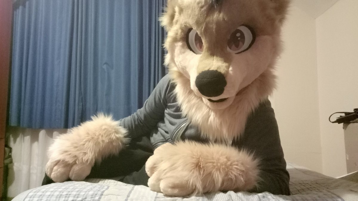 Djthewolfe tweet picture