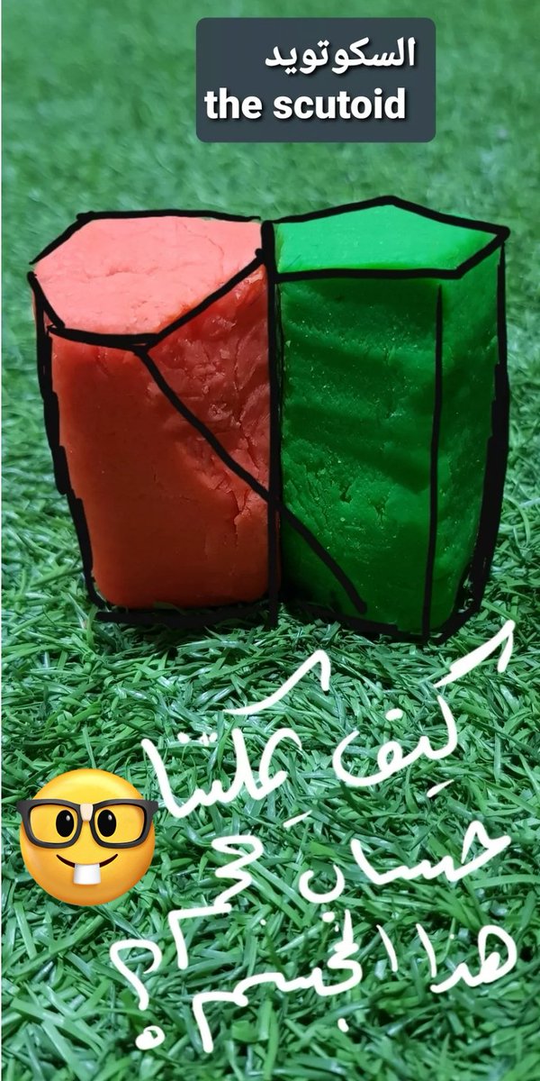 EmanAlharthii's tweet image. #scutoid
في عام ٢٠١٨ اكتشف الباحثون  مجسم هندسي اسموه ال&quot;سكو تويد&quot; ، وهو منشور له قاعدتان متوازيتان خماسية وسداسية واوجهه الجانبية مستطيلات عدا جانب واحد غير منتظم. ويمكن رصده في خلايا البشرة وخلايا الامعاء وغيرها من الانسجة.
youtu.be/TzpQkhmfSsI
المهمة القادمة: