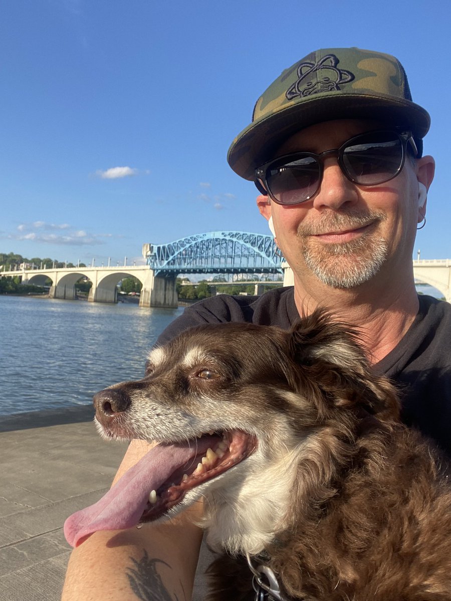 Todd Haller tweet media