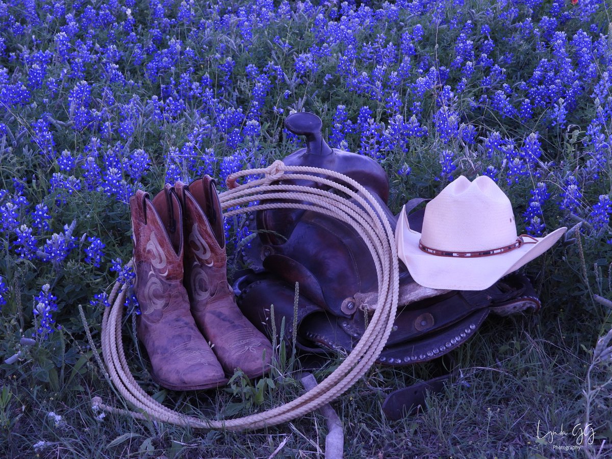 lyndagg924's tweet photo. Boots &amp; Bluebonnets https://t.co/hrAi5uZpaj