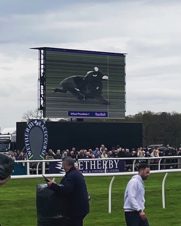 Jonathan Binney tweet media