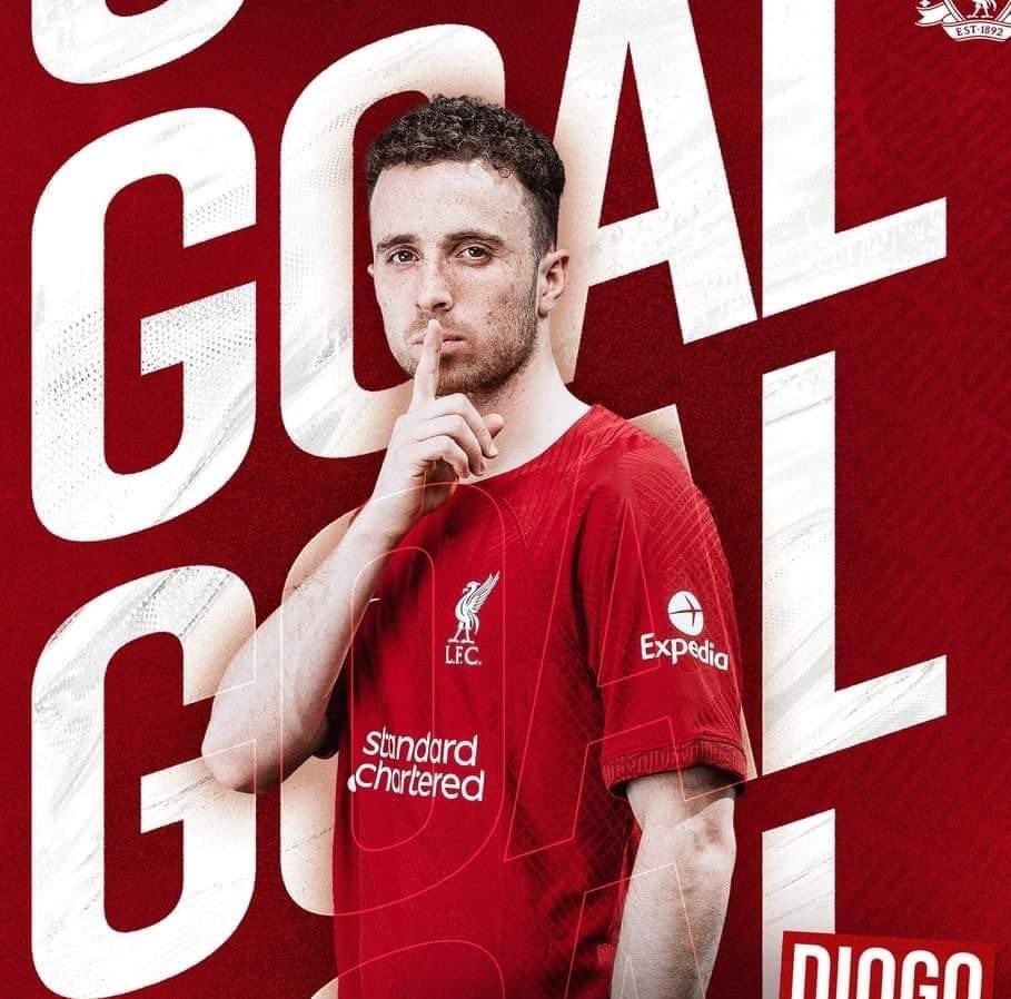 ROYLE4NINE tweet media