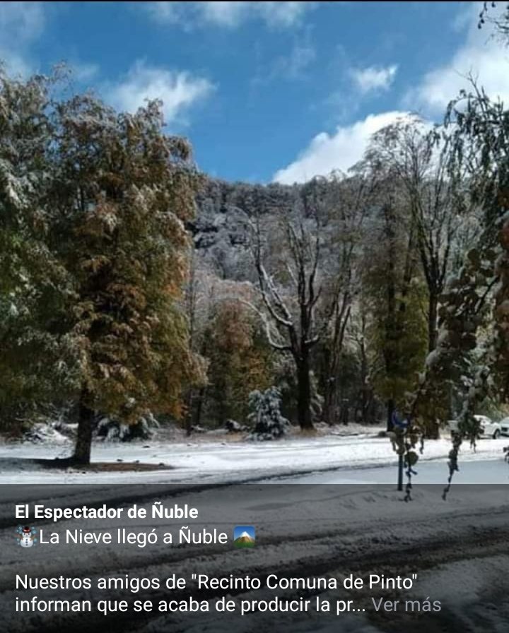 patitoemi64's tweet image. #ñuble #recinto mi región, pero la pre cordillera.