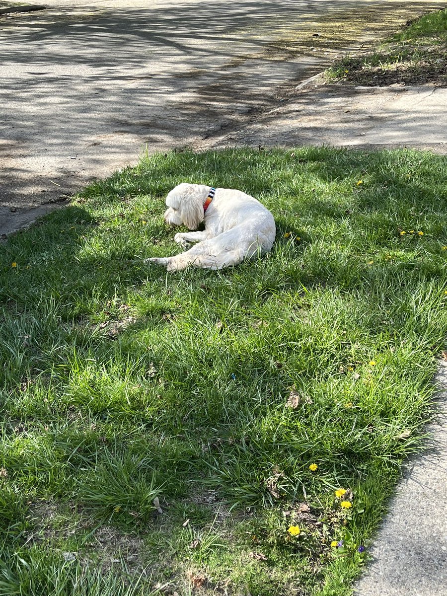 AppleTheCreator's tweet image. HAPPY KOYA DAY!!!! #Koya_Third_Win #MyShiningStar #SpringStar