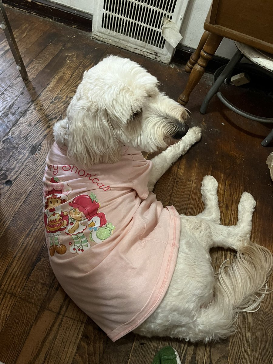 AppleTheCreator's tweet image. HAPPY KOYA DAY!!!! #Koya_Third_Win #MyShiningStar #SpringStar