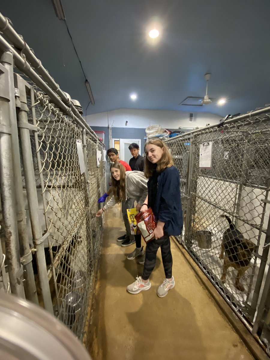Mrs. Jennifer Scott (@jscott2676) on Twitter photo My Leos and I had a fantastic morning volunteering at one of our favorite OJR families’ kennel/rescue! Phoenix Animal Rescue has so many amazing dogs looking for homes. The best part of the morning was snuggling all the puppies!! 🎉 <a href="/OwenJRobertsMS/">OJRMSPrincipal</a> <a href="/OJRSD/">Owen J. Roberts School District</a> <a href="/lionsclubs/">Lions International</a> My Leos and I had a fantastic morning volunteering at one of our favorite OJR families’ kennel/rescue! Phoenix Animal Rescue has so many amazing dogs looking for homes. The best part of the morning was snuggling all the puppies!! 🎉 <a href="/OwenJRobertsMS/">OJRMSPrincipal</a> <a href="/OJRSD/">Owen J. Roberts School District</a> <a href="/lionsclubs/">Lions International</a>