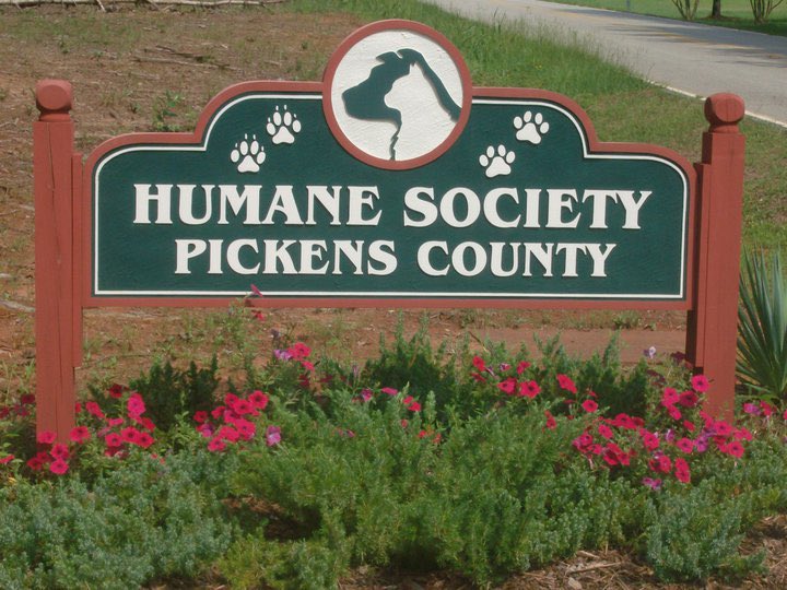 Just another friendly reminder to checkout @pickenscountyhumane and their website pickenscountyhumanesociety.com to donate or help with any supplies in need! @tigerimpactnil