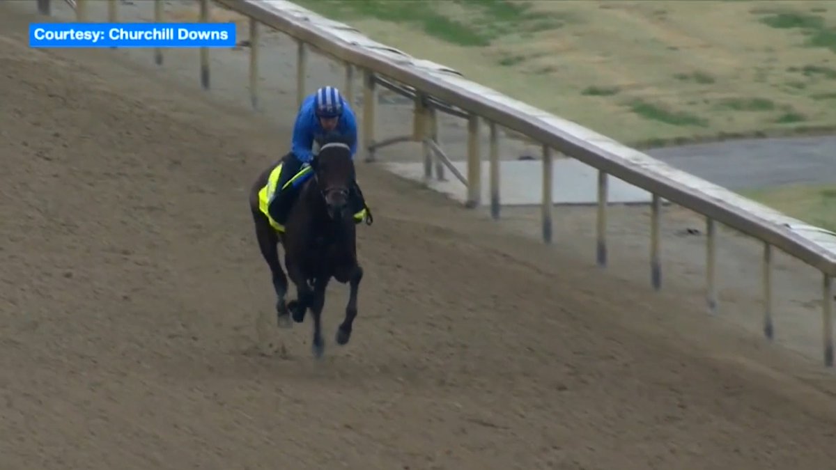 TVG on Twitter "Want to see CONFIDENCE GAME's final Derby workout? 👀