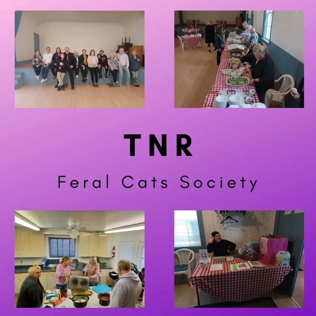 innisfilpride's tweet photo. Hey folks,

A huge thank you to all of those whom donated in support of the TNR Feral Cats Society during our Pasta Dinner Fundraiser yesterday.

We were able to help raise $2040.85 for this amazing organization.

Innisfil Pride  #community #supportlocal #tnrferalcats #innisfil https://t.co/Kf0WtxghPt