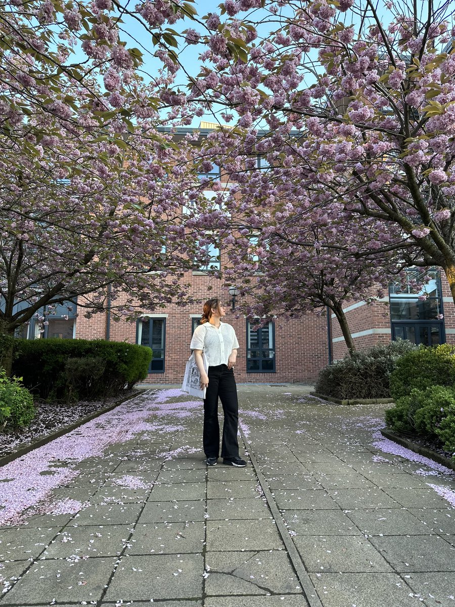 maimzayin's tweet photo. cherry blossom🎀🌸 https://t.co/t79bqBNgBs