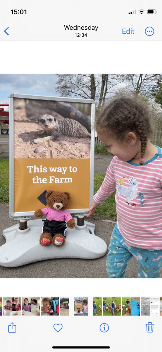 Katy Perry tweet media