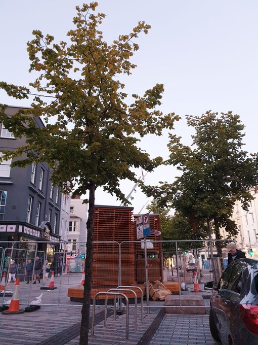 judesherry's tweet photo. The robot trees that don't work
💰Cost us €380k
💡Uses as much electricity as the average home
💧Uses over 1 million liters of water
🌳Are made from real dead trees

To top it all off @corkcitycouncil are chopping down real trees &amp; paving over the only city c park
#greenwashing https://t.co/swO99K9B4z