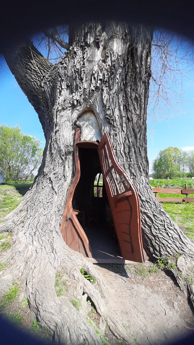 erasmuschools's tweet photo. Short visit to castle remains after the session in Kindergarten https://t.co/pdUzYLgQnC