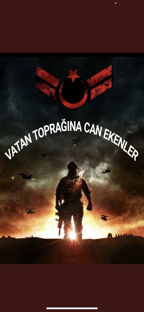 Elvan Tulu tweet media