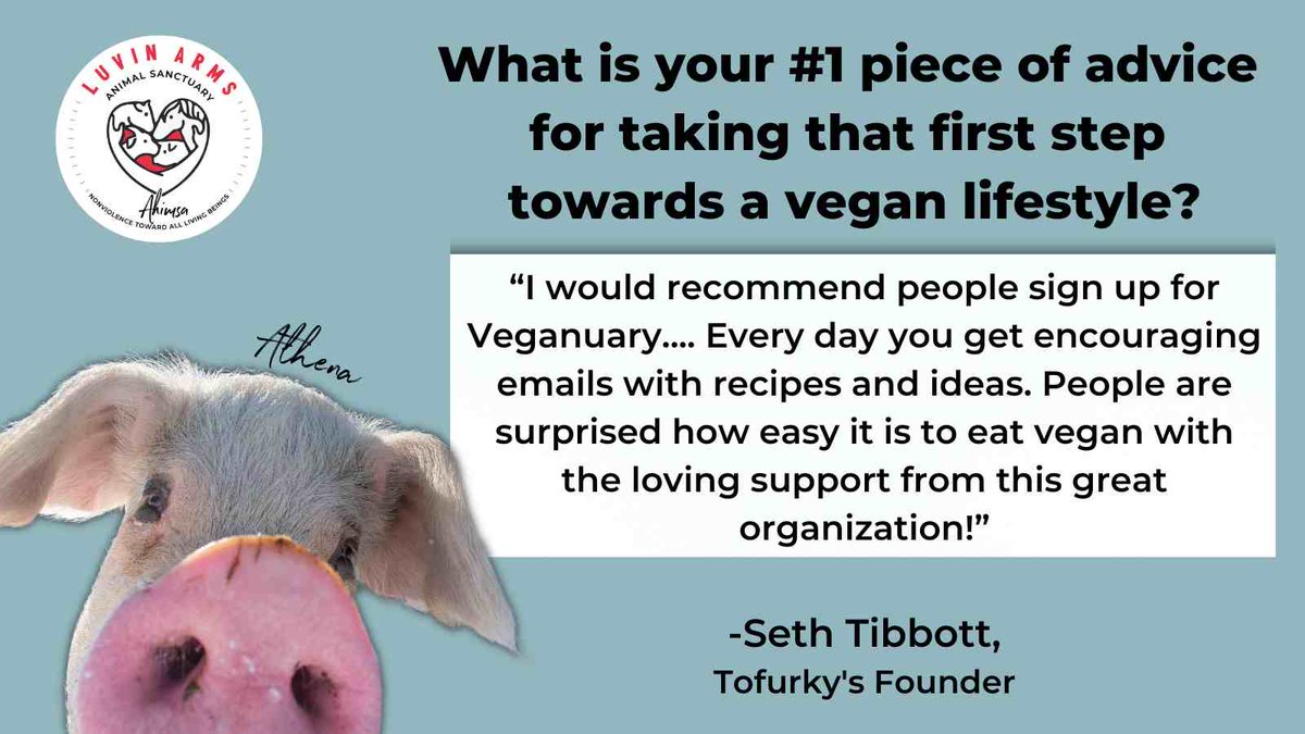 Luvin Arms Animal Sanctuary tweet media
