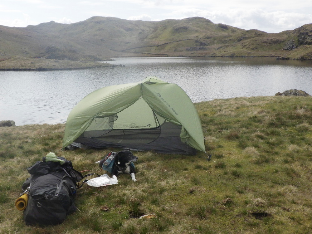 KnipeMike's tweet image. Me and LTD camped at Angle Tarn. Some prune had left a broken tent there.  Dhuhhh... Lovely spot, though which is why its a popular place for camping.