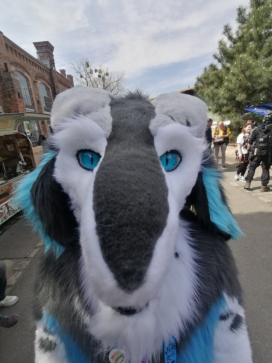zenermerps's tweet photo. Happy #FursuitFriday!
Last weekend I was at the @ViennaComix where obviously a few pictures were taken. Have fun with them!
๐ฑ: @Reptaiin
๐ฑ: @LaakoLynx
๐: @LunaM00nlit
๐คก: @getta0422
#fursuit #furry #furryfandom #sergal #lynx #dragon #viennacomix https://t.co/gyn1ECsQLc