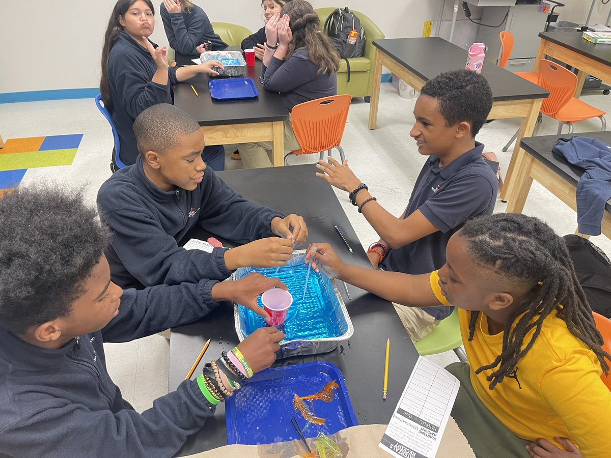 berkeley_prep's tweet photo. Today, in 7th grade science, students did an oil spill lab. We’ve been learning about human impact on our environment, and this hands on activity really brought home just how much damage we can cause! Students have been so engaged with this unit! https://t.co/IlR9DdWJ28