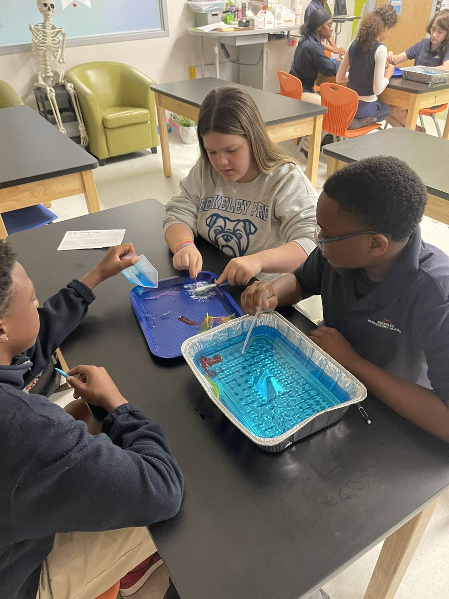 berkeley_prep's tweet photo. Today, in 7th grade science, students did an oil spill lab. We’ve been learning about human impact on our environment, and this hands on activity really brought home just how much damage we can cause! Students have been so engaged with this unit! https://t.co/IlR9DdWJ28