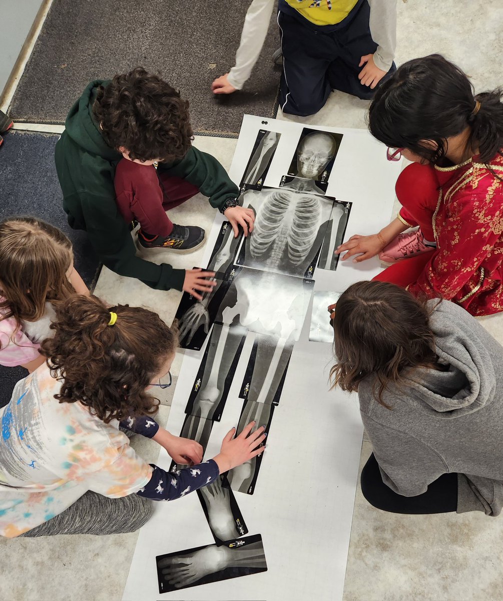 Silverheights 5B Hawks tweet media