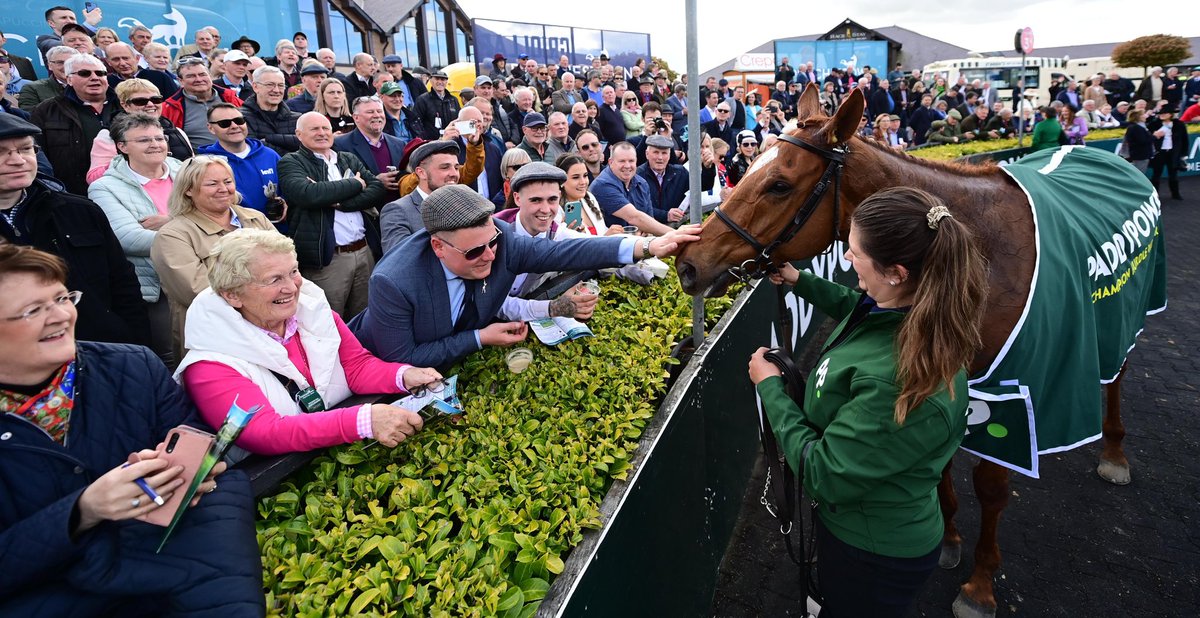 amdracing's tweet image. Nice photo of Irish Champion Hurdler State Man @punchestownrace from @patcashhealy