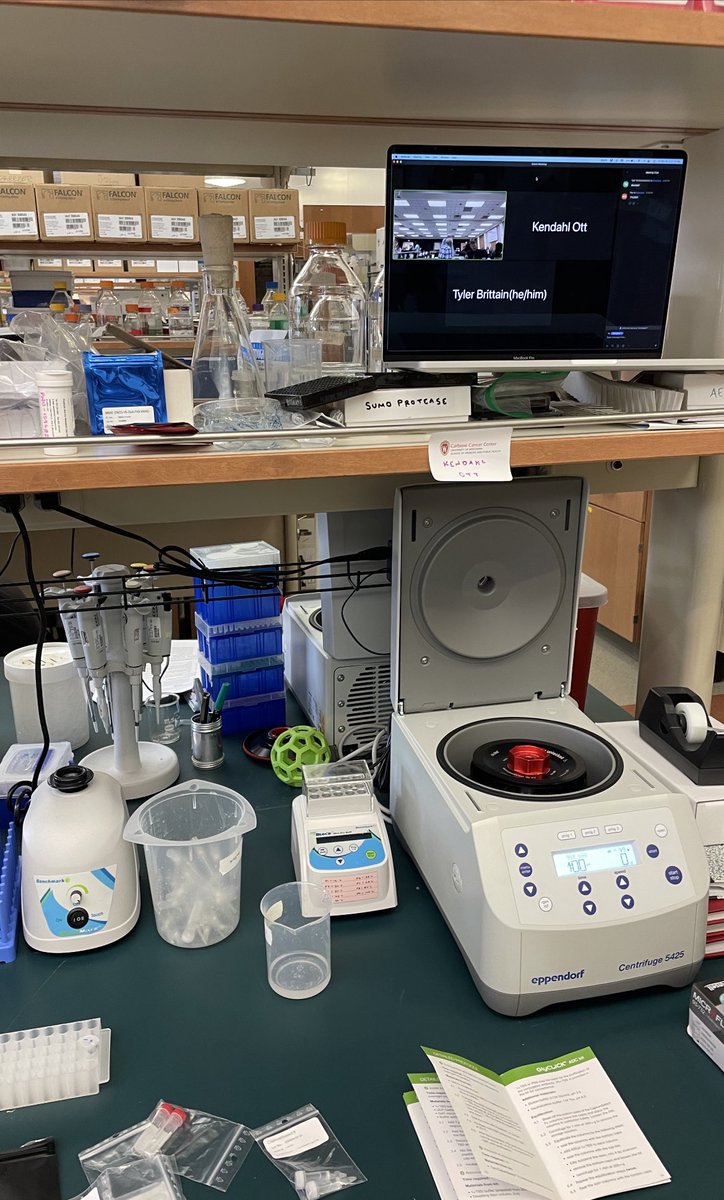 Wright Lab tweet media