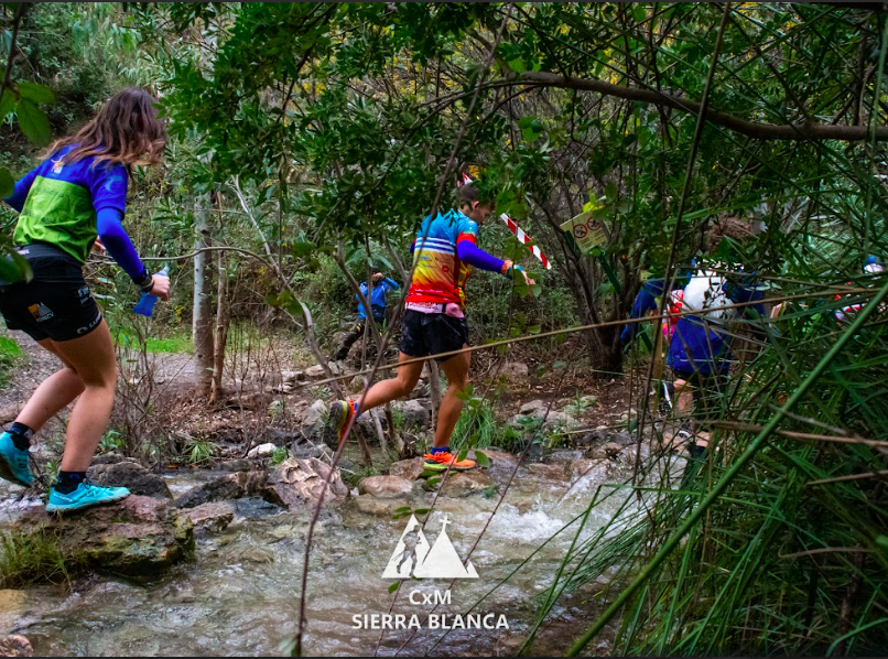 cdutsb's tweet photo. Weekly training tips from #SierraBlanca
#TrailRunning #training #DestinationMarbella #bySierraBlanca #CDUTSB #MarcaMarbella
https://t.co/kz6bOrDzrG https://t.co/zNE51W30ly
