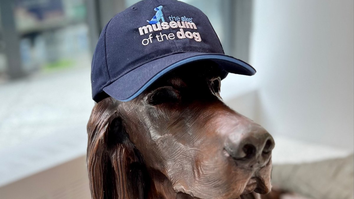 New branded merch alert! 🚨
Visit museumofthedogstore.org for these other dog-gone good products!