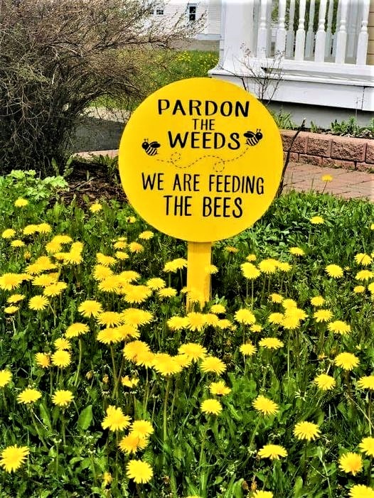 Greenisamissio1's tweet photo. Night thoughts

Especially in spring, this is essential for the survival of our bees, bumblebees and many other little helpers in nature.🐝💚🌱🌿☘️🌳🌲🍀💚 https://t.co/Ghb28iMtay