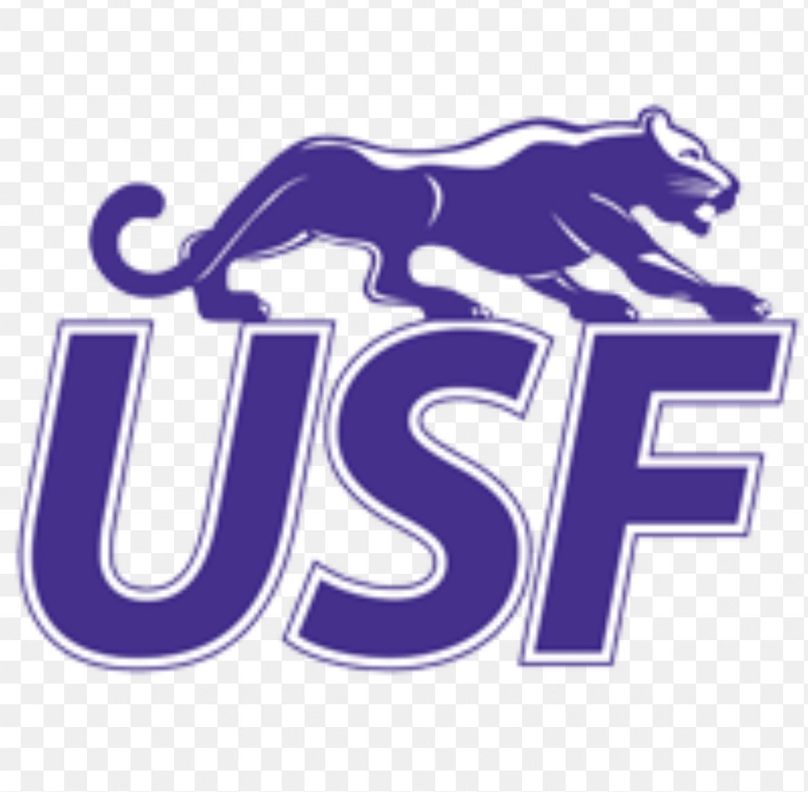 I have received an offer from USF. @USFCooFootball