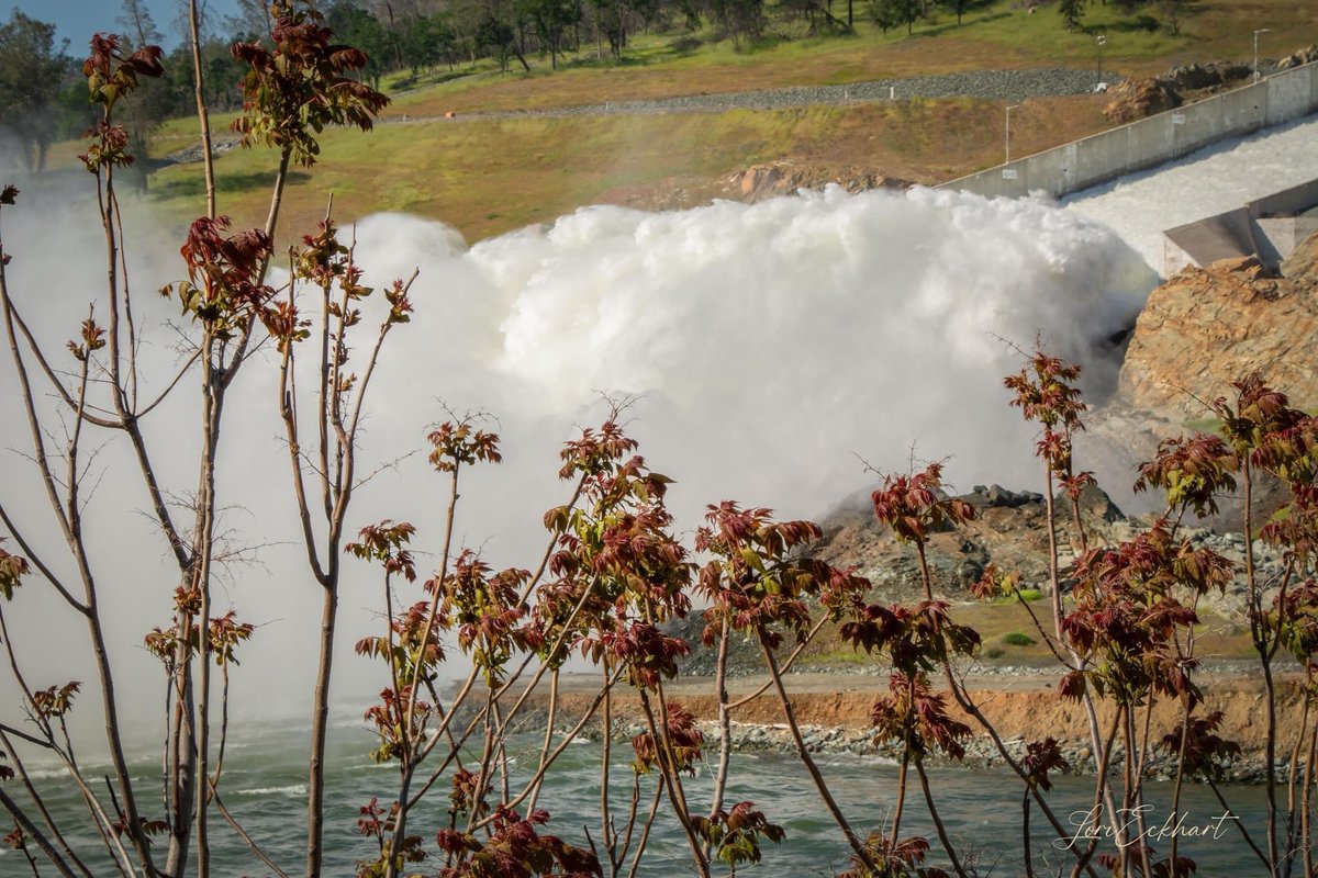LoriEckhart1's tweet image. @kcraFinan The Oroville Lake level is at 878.72ft today, April 28. It’s only 21.28ft below the full pool of 900ft. The spillway is spectacular! #orovilledam #spillway