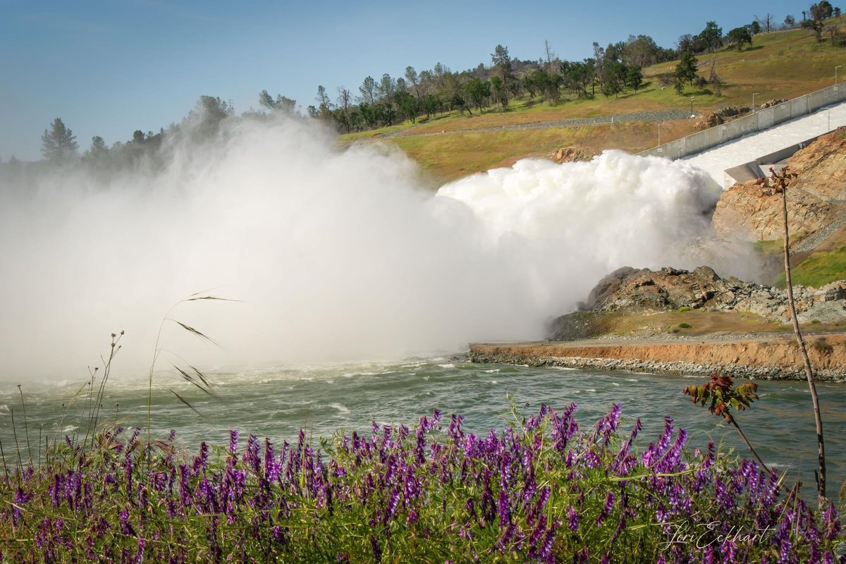 LoriEckhart1's tweet image. @kcraFinan The Oroville Lake level is at 878.72ft today, April 28. It’s only 21.28ft below the full pool of 900ft. The spillway is spectacular! #orovilledam #spillway