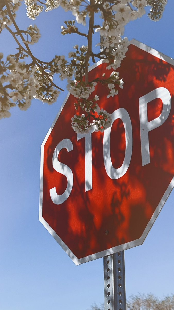 stop and look at the blossoms