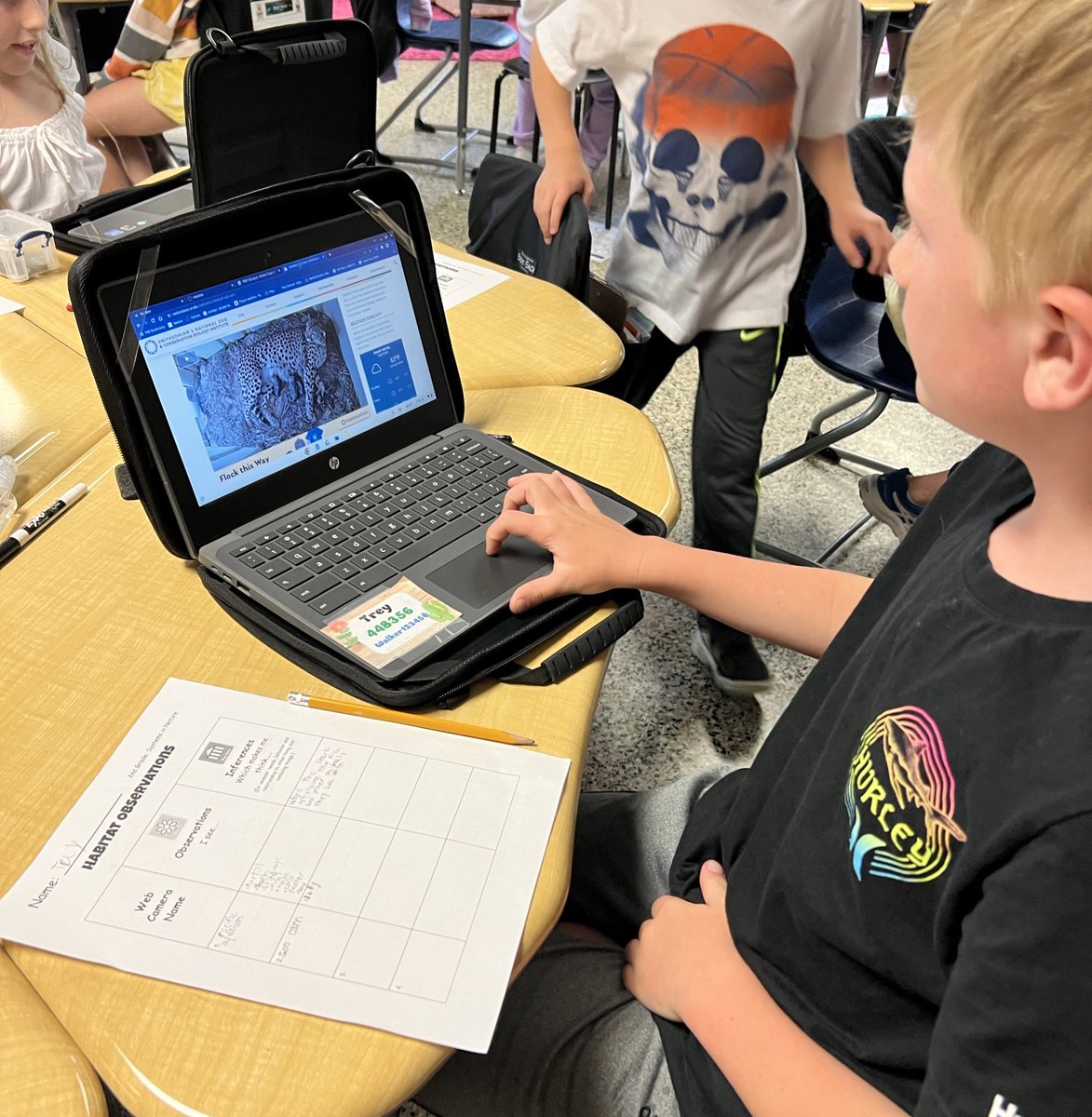 Lauren C. Gibson tweet media