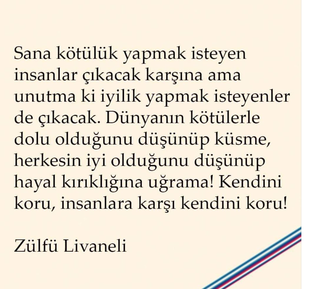 ~ Zülfü Livaneli ~