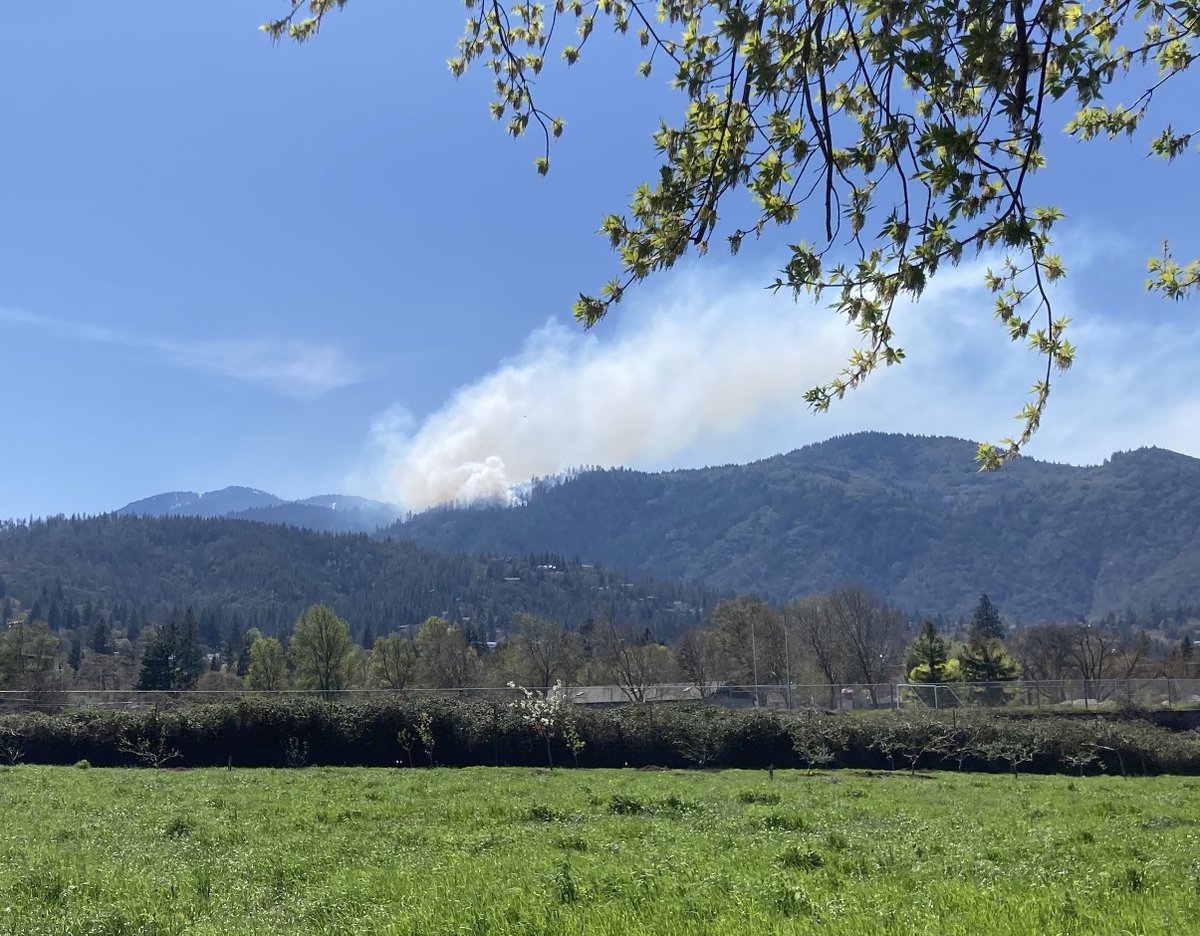 Dr. Chhaya Werner (@chhayawerner) on Twitter photo 