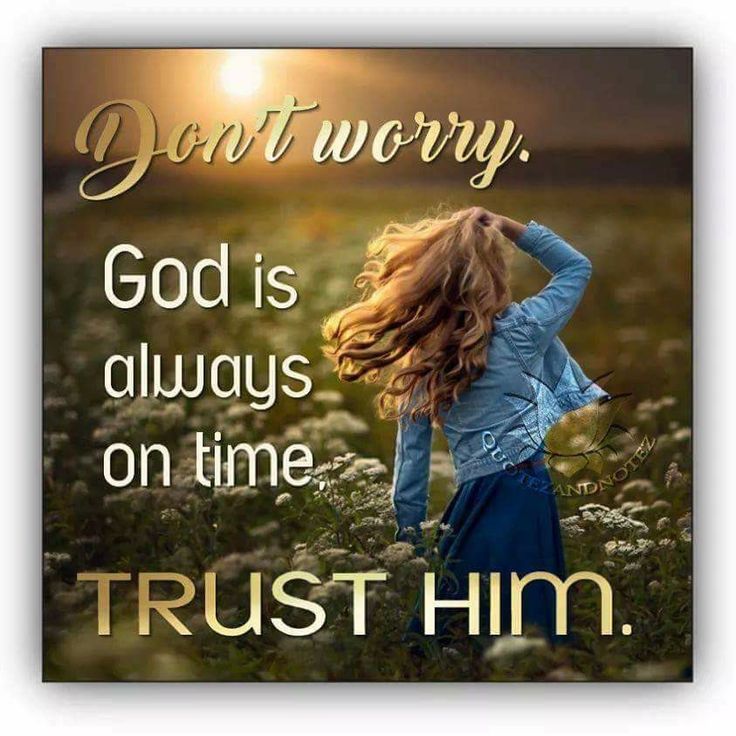 Connie Cline (@conniecline25) on Twitter photo 