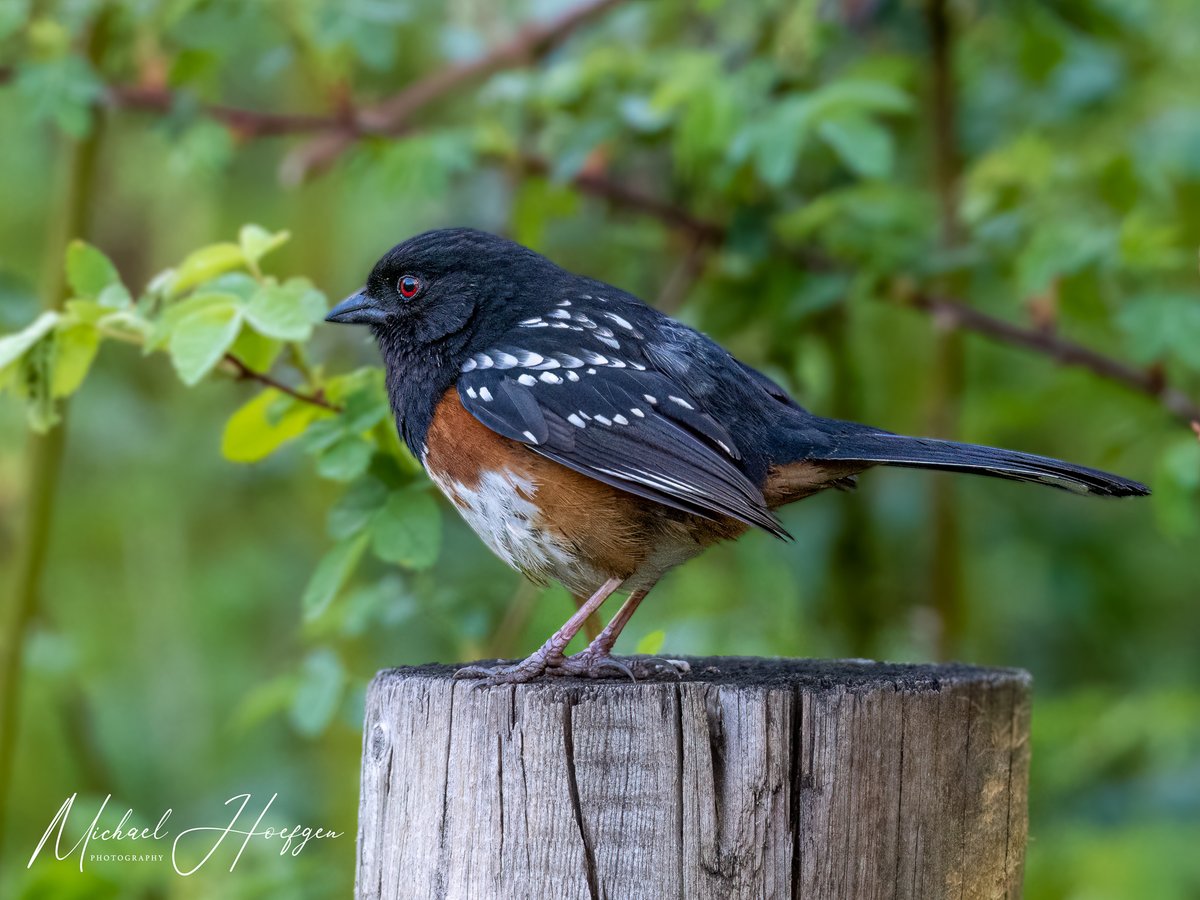 Washington State Parks & Recreation Commission tweet media