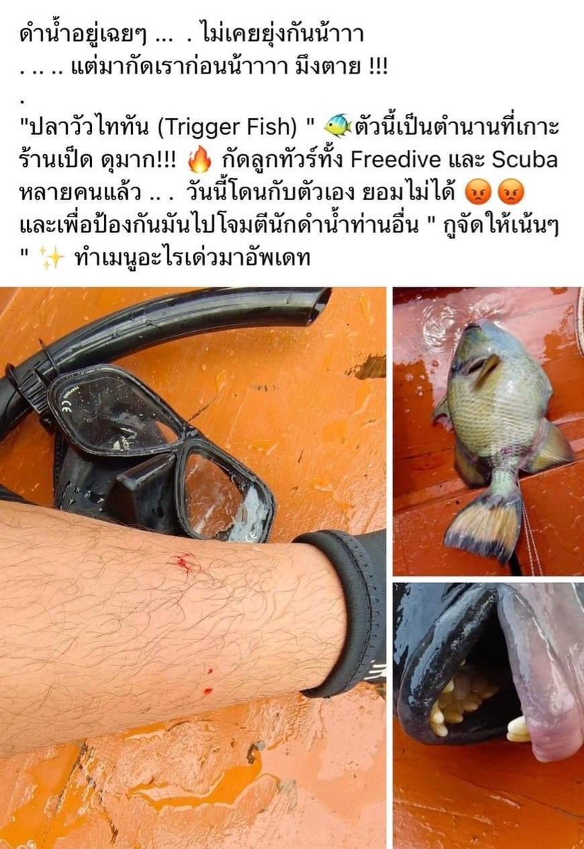 Kong Chanut tweet media