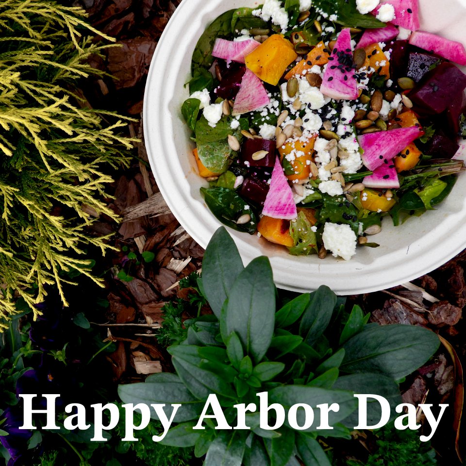 Better Earth tweet media