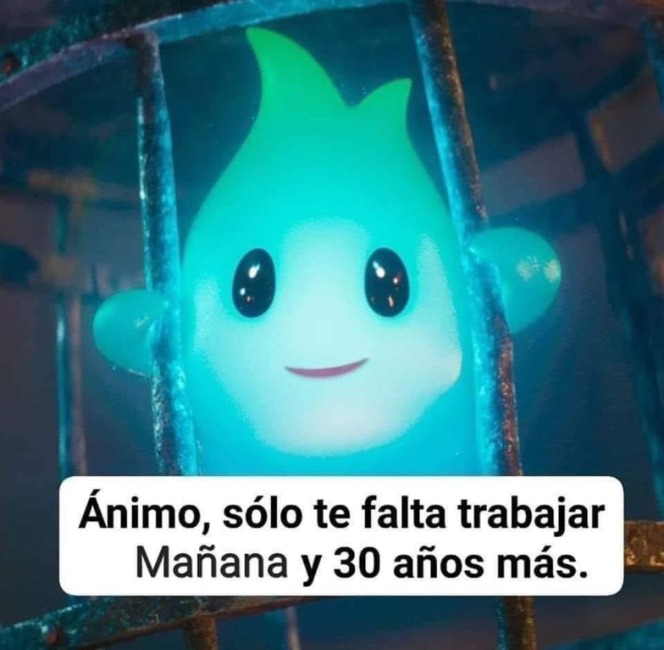 MemesDeSpain's tweet photo. https://t.co/8fYjg9jFKt