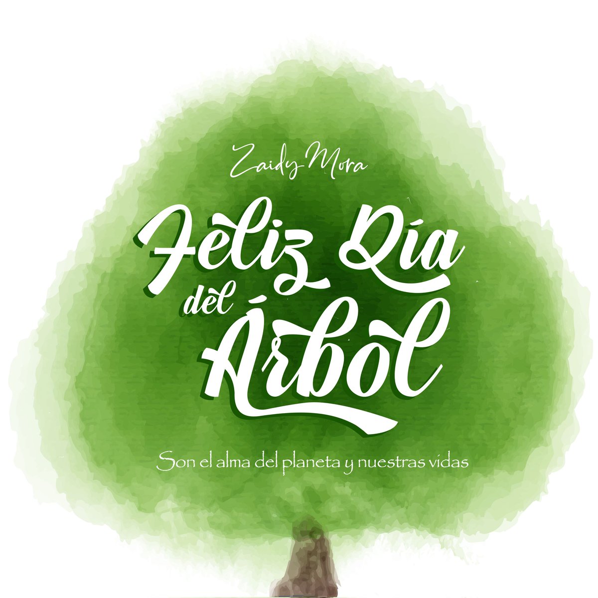 ZaidyMoraQ's tweet photo. Tomemos conciencia del cuidado de los árboles🌲, que purifican el aire💨, reducen la contaminación, nos dan sombra, protegen los suelos🏞️ y son el hogar de muchas especies🐦 #DíaDelÁrbol https://t.co/kVoUWIF4cE