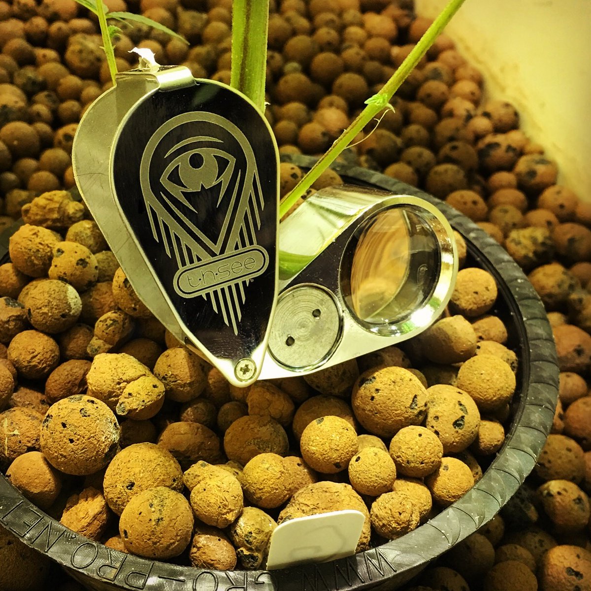 mythsee's tweet photo. The T-H-SEE marijuana magnifier is an essential tool for any size grow room! See What You've Been Missing!! https://t.co/J9v8QapnwI https://t.co/EgX6hLj0Ob