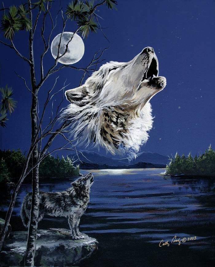standingrock68's tweet photo. @Nativetoday_ @jrlord1 Wakan Tanka nor Unci Maka hasn't let me give up for I still have work to do for them 
#WATERPROTECTOR 4 LIFE
#WATERBELONGSTOTHECHILDREN
MNI WICONI 
#FreeLeonardPeltier https://t.co/zRwGOhPEwd