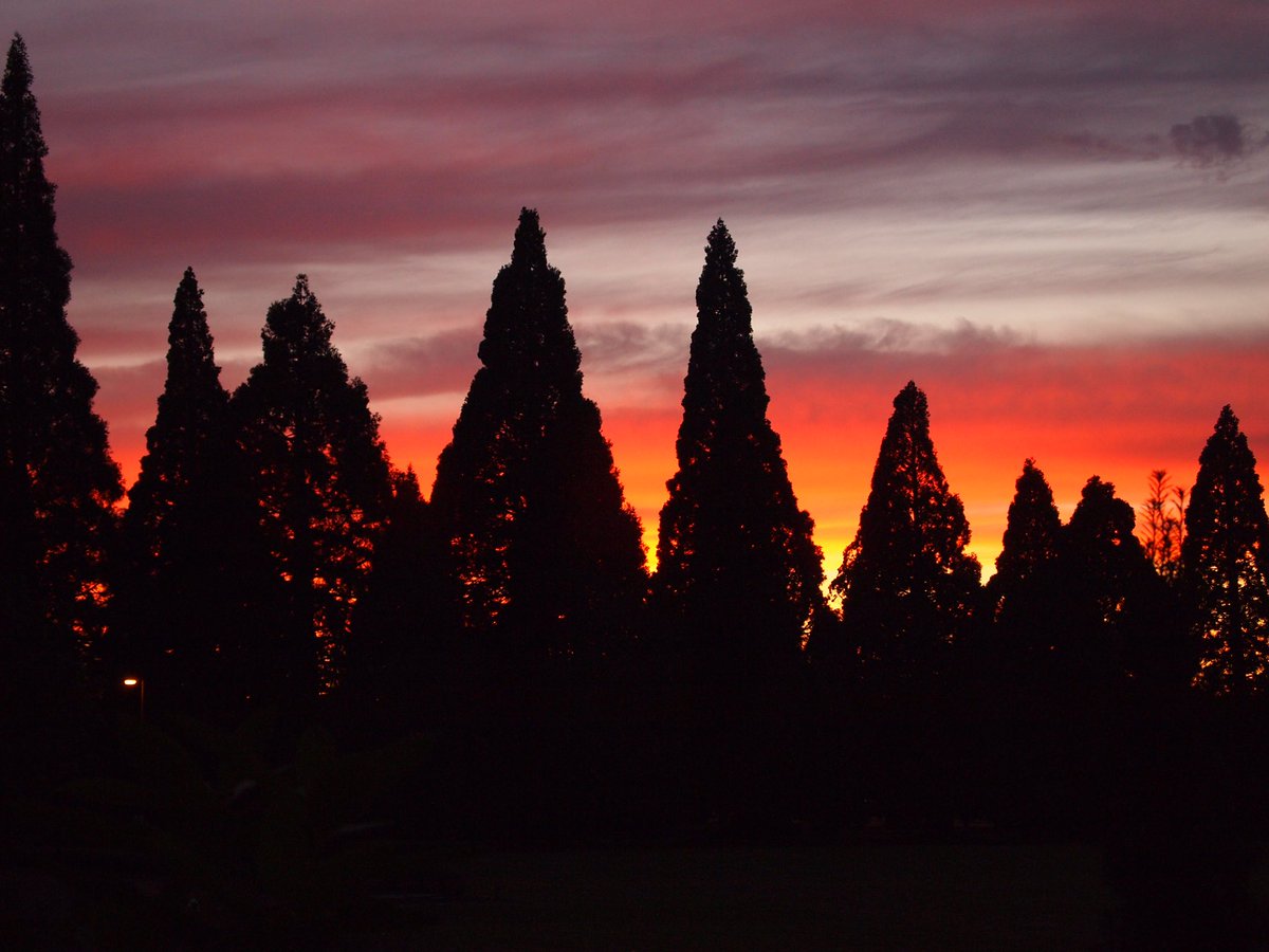 SSMO_Oregon's tweet photo. We love to celebrate the unique gifts of each person. Did you know that one of Sister Charlene’s unique gifts is photography? https://t.co/htXN6eENER