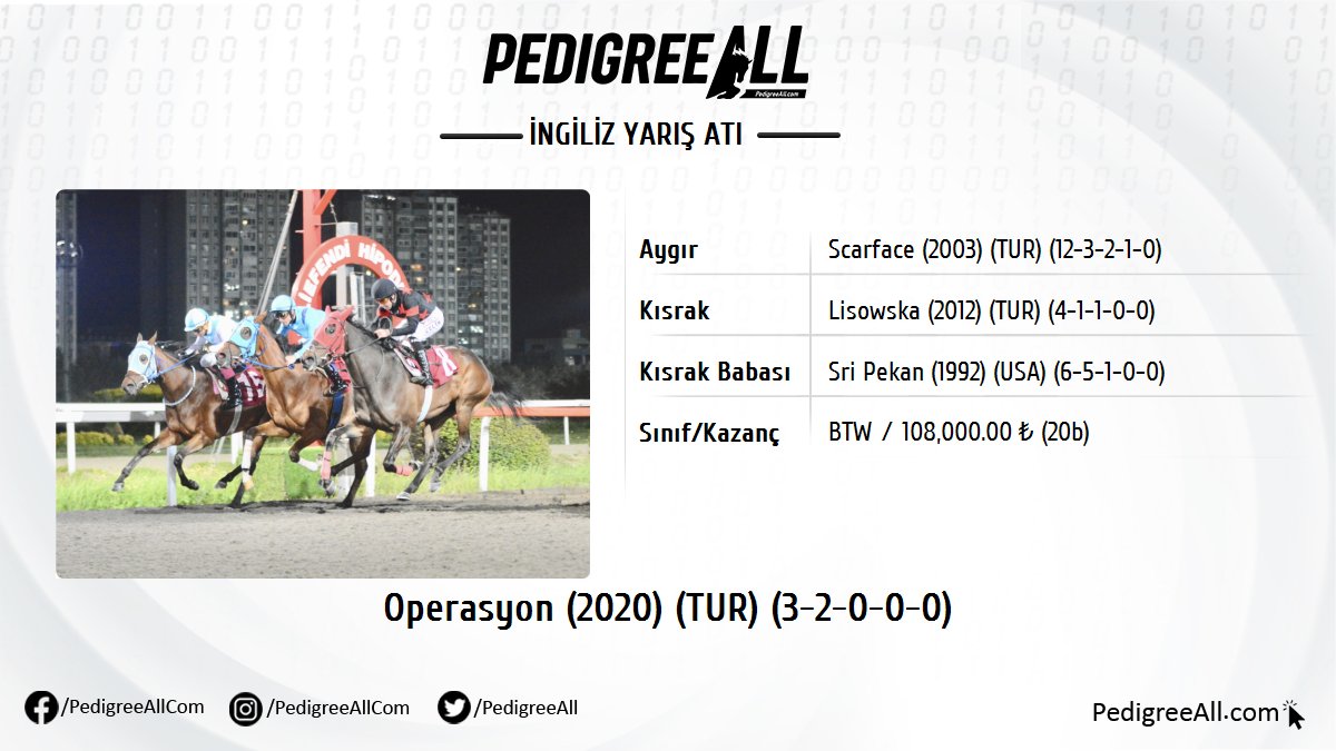 KV9 Nadas Koşusu'nu OPERASYON by Scarface kazandı. 

pedigreeall.com/operasyon-tur-…